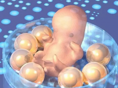 冻胚移植成功率受啥影响？女性年龄和移植技术都关键！