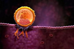 上海试管医院精选，这三家口碑超赞，强烈推荐！