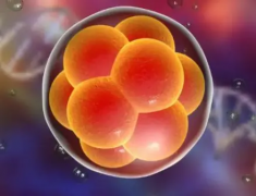 格鲁吉亚试管医院精选指南：为您推荐最佳选项，一目了然！