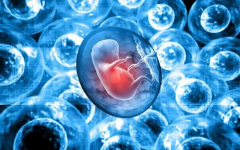 亳州试管医院大盘点！四家热门医院详细介绍，一看就懂！