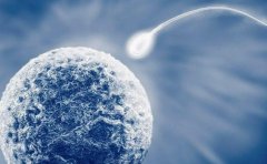 安徽试管包生'男'孩的私人医院推荐，安徽妇幼保健院试管的现状