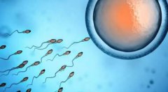 太原提供助孕生双胞胎的医院详细介绍，提供人性化服务