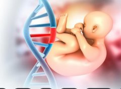 南昌市可以做试管生'男'孩的医院介绍及基本流程