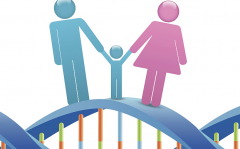 试管之路，性别随心？荆门专家详解选择原理与操作要点