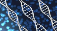 私立医院也出彩！肇庆试管医院十大榜单详解！