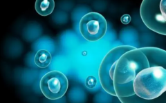 2024年成都三代试管包成功的费用大概是多少钱？附上费用构成