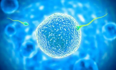 2024鹤岗三代试管费用全解析：明细曝光，预算不再迷茫！