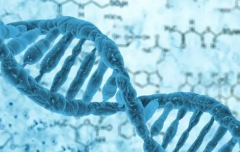 生'男'孩不再是梦？东莞这家医院试管成功率傲视群雄