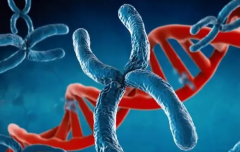 兰州试管医院榜单大洗牌，2024前十强医院任您挑选！