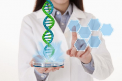 美国三代试管选性别规定，不违法但有限制