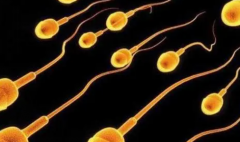 濮阳试管新标杆：濮阳市人民医院专业团队揭秘