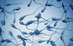 试管成功率哪家强？三亚市人民医院荣登榜首！