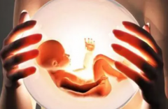 济南试管性别选择费用详解,四方面明细公布，助你预算无忧！