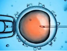 胚胎移植后绒促针注射指南：时间、注意事项，一文带你全面了解！