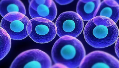 龙井不孕不育治疗优选：生殖医院排名，助你找到好医院！