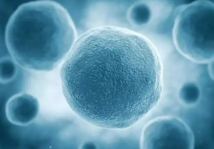 百色试管医院精选：三家知名机构，助你圆梦！