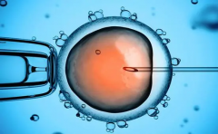 揭秘5C胚胎质量真相！移植成功率一目了然，助你安心选择