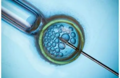 黑龙江试管成功率TOP3揭晓！带你深入了解排名前三的助孕机构！