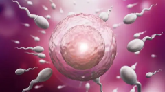 上饶助孕公司排行大换血！十家费用全包的靠谱机构，一次看懂不迷路