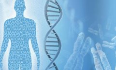 鄂州试管私立机构性别选择，收费标准大公开！