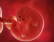 泰州值得推荐的助孕机构有哪些？泰州助孕机构需具备的条件