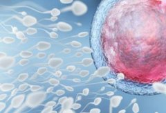 永州三代试管生女孩费用明细表，永州三代试管生女孩费用高的原因