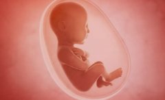 东莞三代试管包男孩的费用构成及具体流程解析