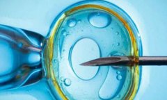 拉萨公立机构的试管助孕费用及其他相关费用