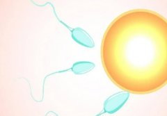 柳州私立机构为何成为三代试管优选？靠谱因素解析！