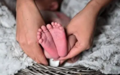 生男生女自由选？鹤壁三代试管费用大起底！