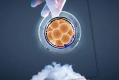 鲜胚移植8天姨妈感强代表怀孕？检查出白板又是什么情况？