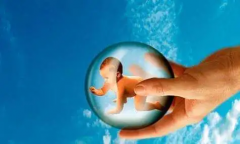 青岛公立医院能选试管性别吗？三代试管费用明细