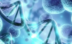 试管反复失败的原因深度剖析：卵巢功能竟是关键一环