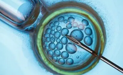 黄体期促排内幕：为何鲜胚移植成禁忌？