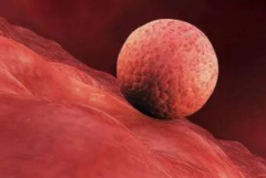 鲜胚移植后十二天月经不规律？揭秘背后原因与着床成败