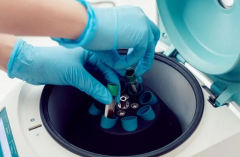 鹤壁试管医院大比拼：费用、成功率哪家强？