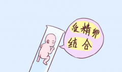高龄试管：冻胚移植60%成功率背后的原理与优势深度剖析＂