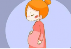 上海三代试管技术解析,专业医院推荐与成功率概览