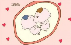 探寻上海私人试管机构：性别选择服务揭秘及前十名医院推荐