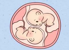 三代试管圆龙凤胎梦：费用构成全解析与独特优势概览