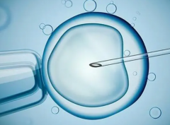 鲜胚移植,深度剖析优劣势，成功率多重因素揭秘