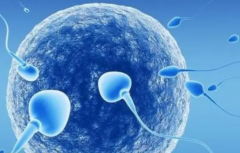 泰安三代试管选性别费用揭秘：成功率一看便知！