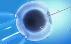 韶关试管医院全览：费用与介绍一文打尽！