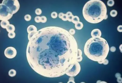 金华试管成功率TOP10医院大揭秘：助您好孕成真！