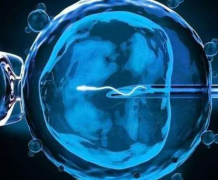 韶关试管性别选择全解析：成功率与价格差异大揭秘！