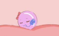 试管胚胎移植全攻略