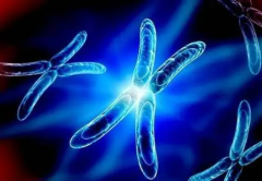 乌克兰拉拉试管机构哪家强？排名对比帮你找答案！