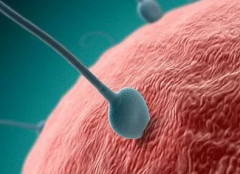 开封试管选性别费用明细表大公开，让你明明白白花钱！