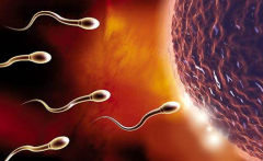 单身人士去鞍钢总医院做试管多少钱？2025年试管具体费用参考！