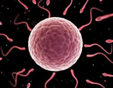 长沙湘雅二院试管怎么样？2024年费用清单大公开，一看就懂！